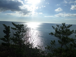 View From My Room